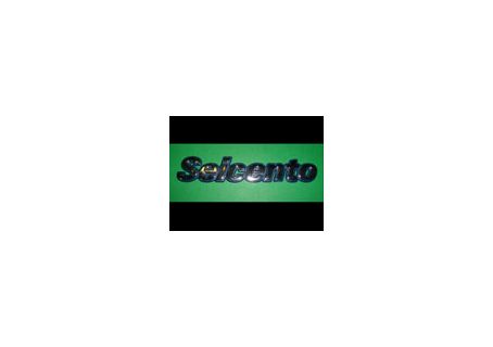 Scritta posteriore Fiat Seicento