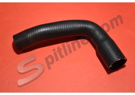 Manicotto inferiore radiatore (pompa acqua-radiatore) Alfa Romeo 750-101 Giulietta Spider, Giulietta Sprint Speciale 
