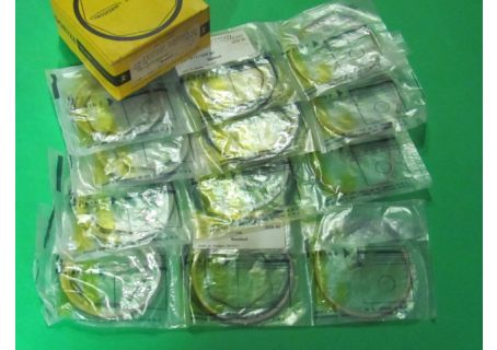 Serie fasce elastiche per pistoni Goetze Passform [mm 73 STD] Fiat 124