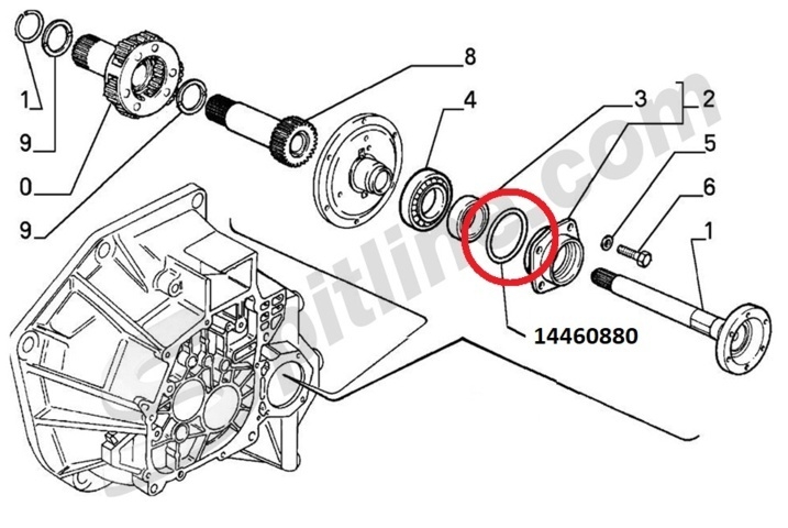 O-Ring per supporto ruotismi differenziale Lancia Delta 4x4, Integrale, Evoluzione - Fiat Coupè, Uno Turbo 1.4