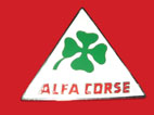 Stemma in metallo Alfa Romeo squadra corse (da applicare con adesivo)